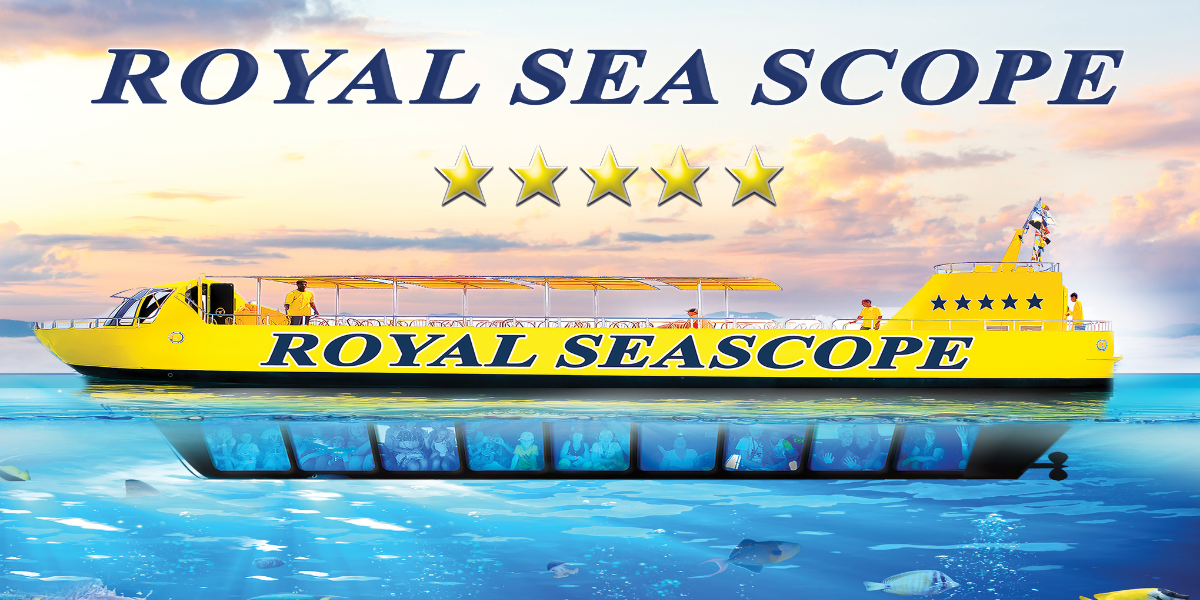 Sea Scope activity