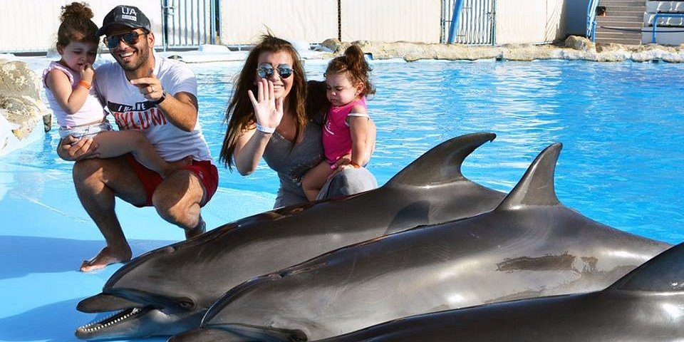 Dolphin show scenic view