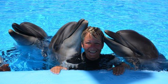 Dolphin show highlights