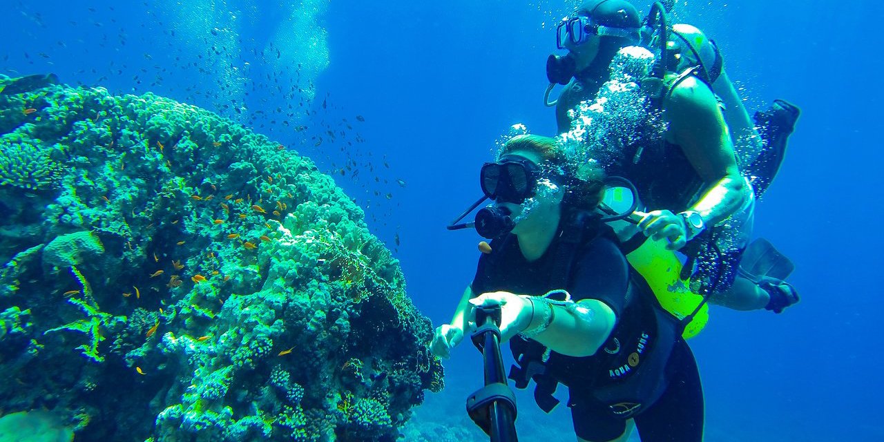 Tiran Island - Sharm El Sheikh highlights