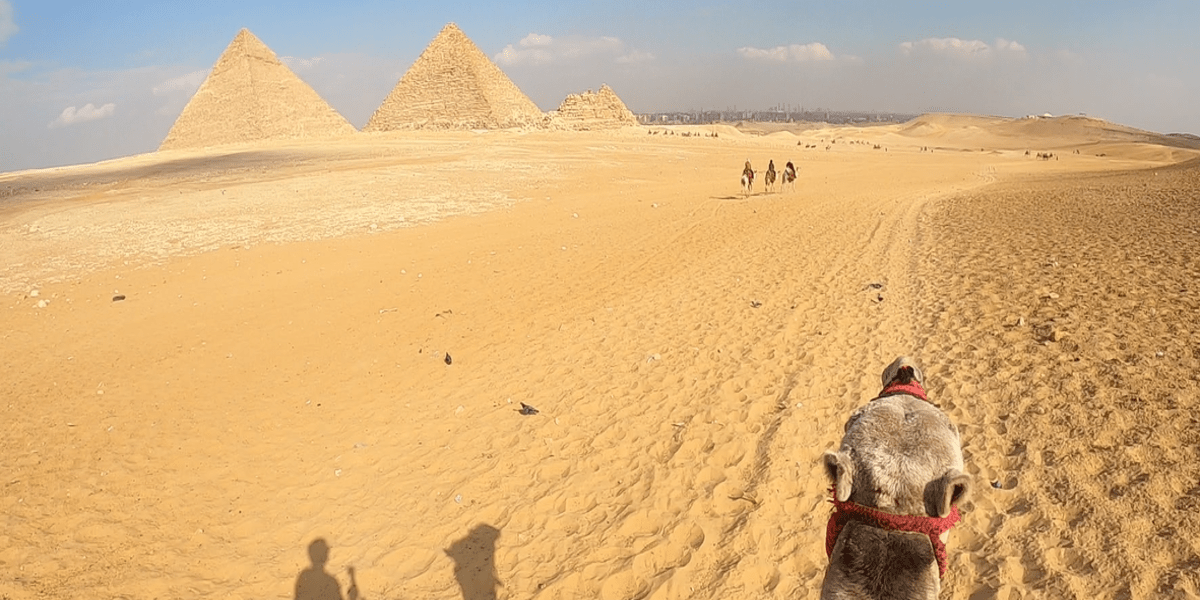 Camel Ride in Giza Pyramids highlights